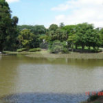 Terreno à venda em Horto Florestal, São Paulo, SP
