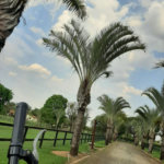 Rancho com 12 dormitórios à venda, 63000 m² por R$ 7.500.000,00 - Condomínio Haras Paineiras - Salto/SP