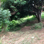 Terreno à venda em Imirim, São Paulo, SP