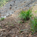 Terreno à venda em Rio Acima, Mairiporã, SP