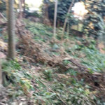 Terreno à venda com 1 suíte em Alto da Boa Vista, São Paulo, SP