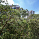 Apartamento à venda com 3 quartos, sendo 2 suítes,  em Alto da Boa Vista, São Paulo, SP