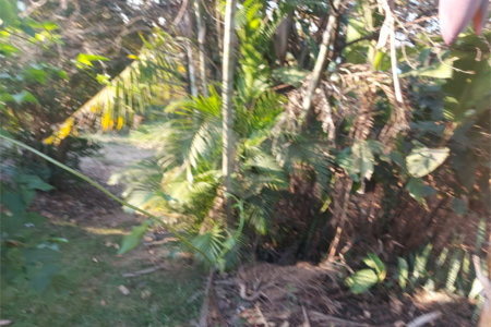 Terreno à venda em Santa Claudina, Vinhedo, SP