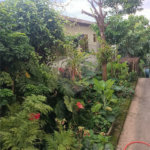 Casa à venda com 4 quartos, sendo 1 suíte, em Santa Inês, Mairiporã, SP
