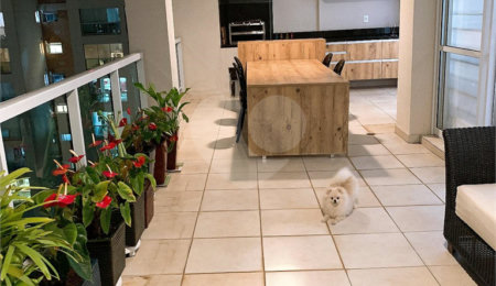 Apartamento à venda com 4 suítes em Mooca, São Paulo, SP