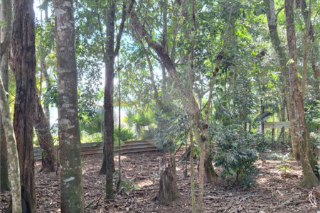 Chácara à venda ou para alugar com 3 quartos, sendo 1 suíte,  em Parque Residencial Itapeti, Mogi das Cruzes, SP