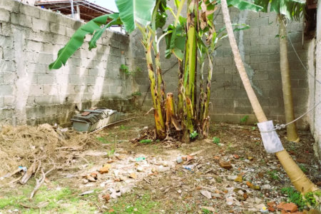Terreno para alugar em Vila São Luís(zona Oeste), São Paulo, SP