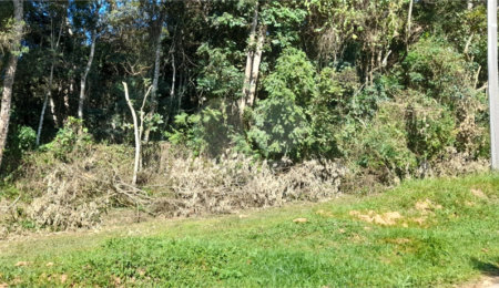 Terreno à venda em Serra da Cantareira, Mairiporã, SP