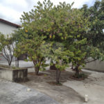 Casa à venda com 3 quartos, sendo 1 suíte, no condomínio Acmti - Colinas do Mosteiro, Terras de Itaici e Recanto dos Pássaros, Indaiatuba - SP