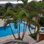 Casa à venda com 8 quartos, sendo 2 suítes, em Serra da Cantareira, Mairiporã, SP