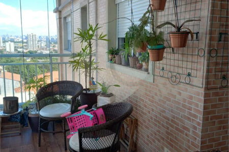Apartamento à venda com 3 quartos, sendo 1 suíte, em Vila Maria Alta, São Paulo, SP