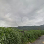 Terreno à venda em Vila Santos, São Paulo, SP
