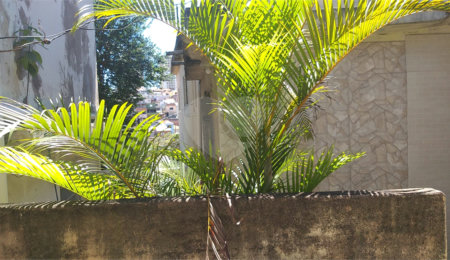 Casa à venda com 5 quartos em Imirim, São Paulo, SP