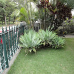 Sobrado à venda com 4 quartos, sendo 3 suítes, em Jardim São Bento, São Paulo, SP