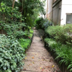 Apartamento à venda com 3 quartos, sendo 1 suíte, em Jardim Ampliação, São Paulo, SP