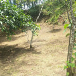 Sítio à venda no Centro, Monte Sião, MG
