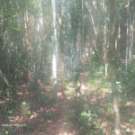 Terreno à venda em Dos Finco, São Bernardo do Campo, SP