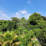 Chácara à venda com 4 quartos, sendo 1 suíte, em Área Rural de Salto, Salto, SP