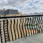 Lindo Apartamento Alto Da Boa Vista