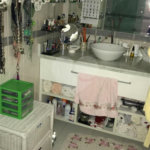 Apartamento à venda com 3 quartos, sendo 1 suíte, em Casa Verde, São Paulo, SP