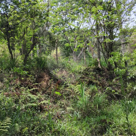 Chácara à venda com 2 quartos em Vila Caputera, Mogi das Cruzes, SP