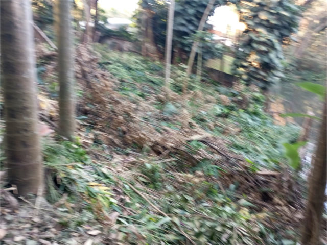 Terreno à venda com 1 suíte em Alto da Boa Vista, São Paulo, SP
