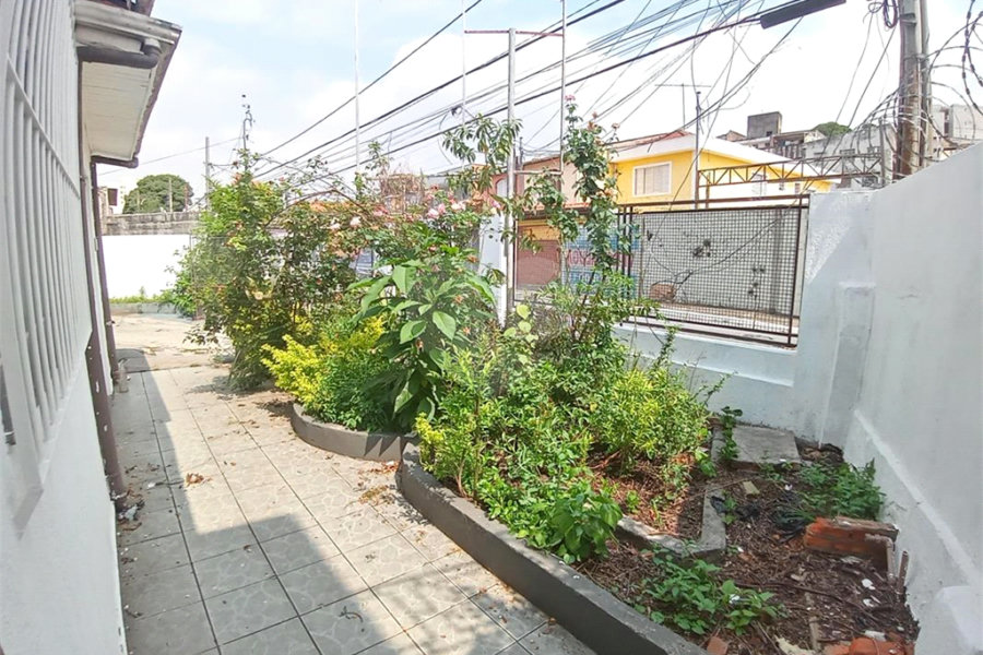 Terreno à venda ou para alugar com 3 quartos em Tucuruvi, São Paulo, SP