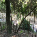 Terreno à venda em Jardim Peri Peri, São Paulo, SP