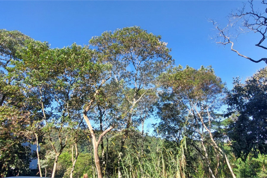 Terreno à venda no condomínio Alpes da Cantareira, Mairiporã - SP