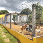 Casa à venda com 4 quartos, sendo 3 suítes, em Luiz Fagundes, Mairiporã, SP