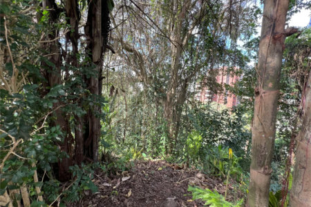 Terreno à venda em Paraisópolis, São Paulo, SP