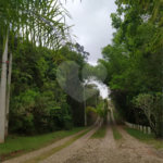 Casa à venda com 7 quartos, sendo 3 suítes, em Fazenda Marajoara, Campo Limpo Paulista, SP
