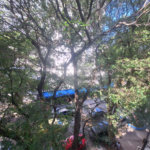Apartamento à venda com 3 quartos em Tijuca, Rio de Janeiro, RJ