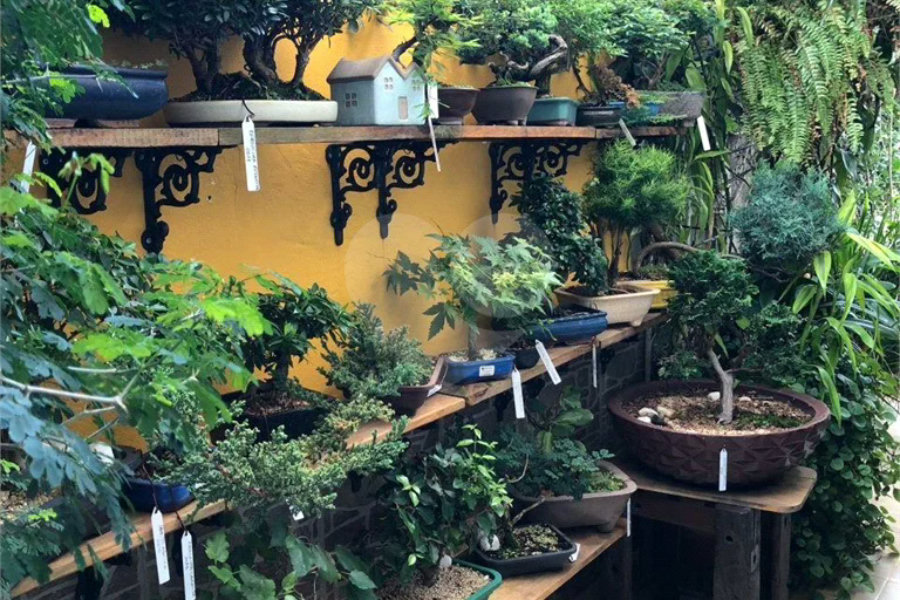 Excelente Sobrado na Vila Matilde. Venha fazer uma visita.