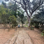 Sítio à venda com 5 quartos, sendo 1 suíte,  em Mirante do Arujá, Arujá, SP