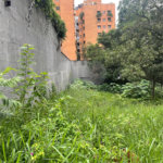 Terreno à venda em Jardim Guedala, São Paulo, SP