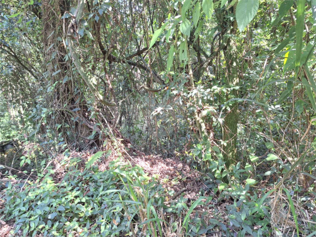 Terreno à venda no condomínio Alpes da Cantareira, Mairiporã - SP