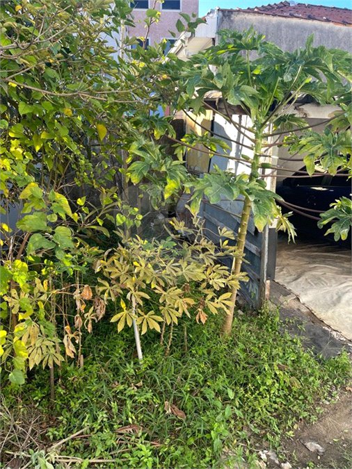 Terreno à venda em Tucuruvi, São Paulo, SP