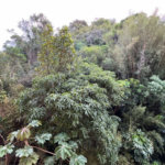 Apartamento Residencial à venda, Barra Funda, Guarujá - AP0311.
