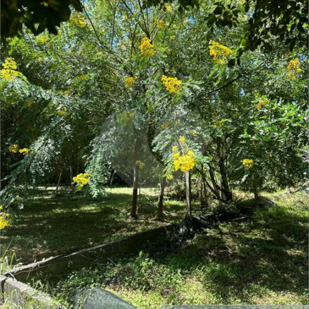 Excelente oportunidade no condomínio Vale das Laranjeiras, em Indaiatuba/SP. - R$ 1.850.000,00 - Terreno de 3.000 m²), com frente de 50 metros, proporcionando diversas possibilidades de projeto. O lote possui ótima localização dentro do condomínio, rodeado de natureza e com fácil acesso