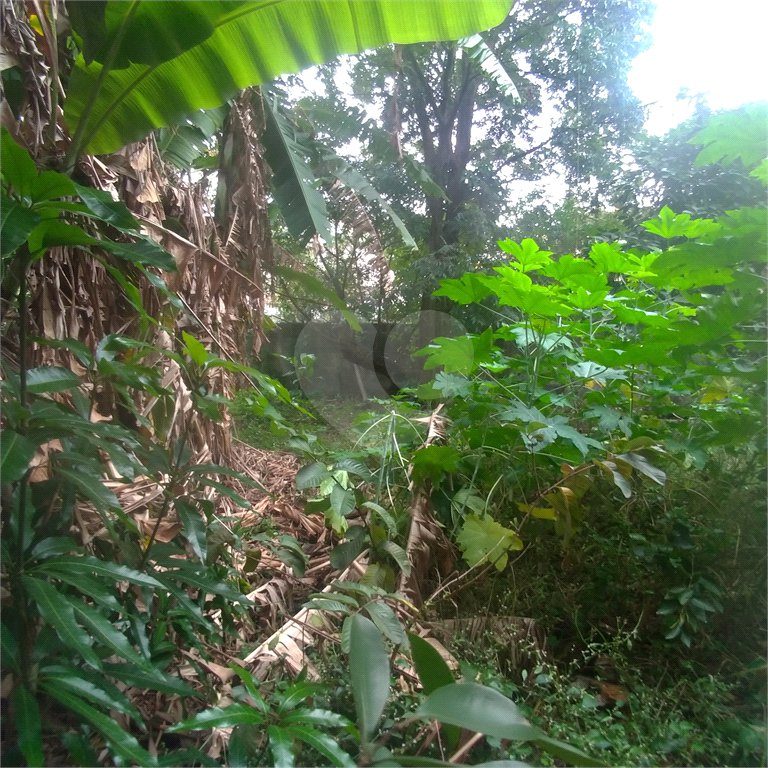 Terreno à venda em Casa Verde, São Paulo, SP