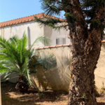 Casa à venda com 3 quartos em Jardim São Paulo(zona Norte), São Paulo, SP