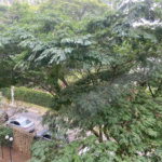 Apartamento à venda com 3 quartos, sendo 1 suíte, em Vila Suzana, São Paulo, SP