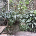 Casa à venda com 3 quartos em Andaraí, Rio de Janeiro, RJ