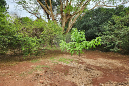 Chácara à venda com 2 quartos em Jardim Califórnia, Araraquara, SP