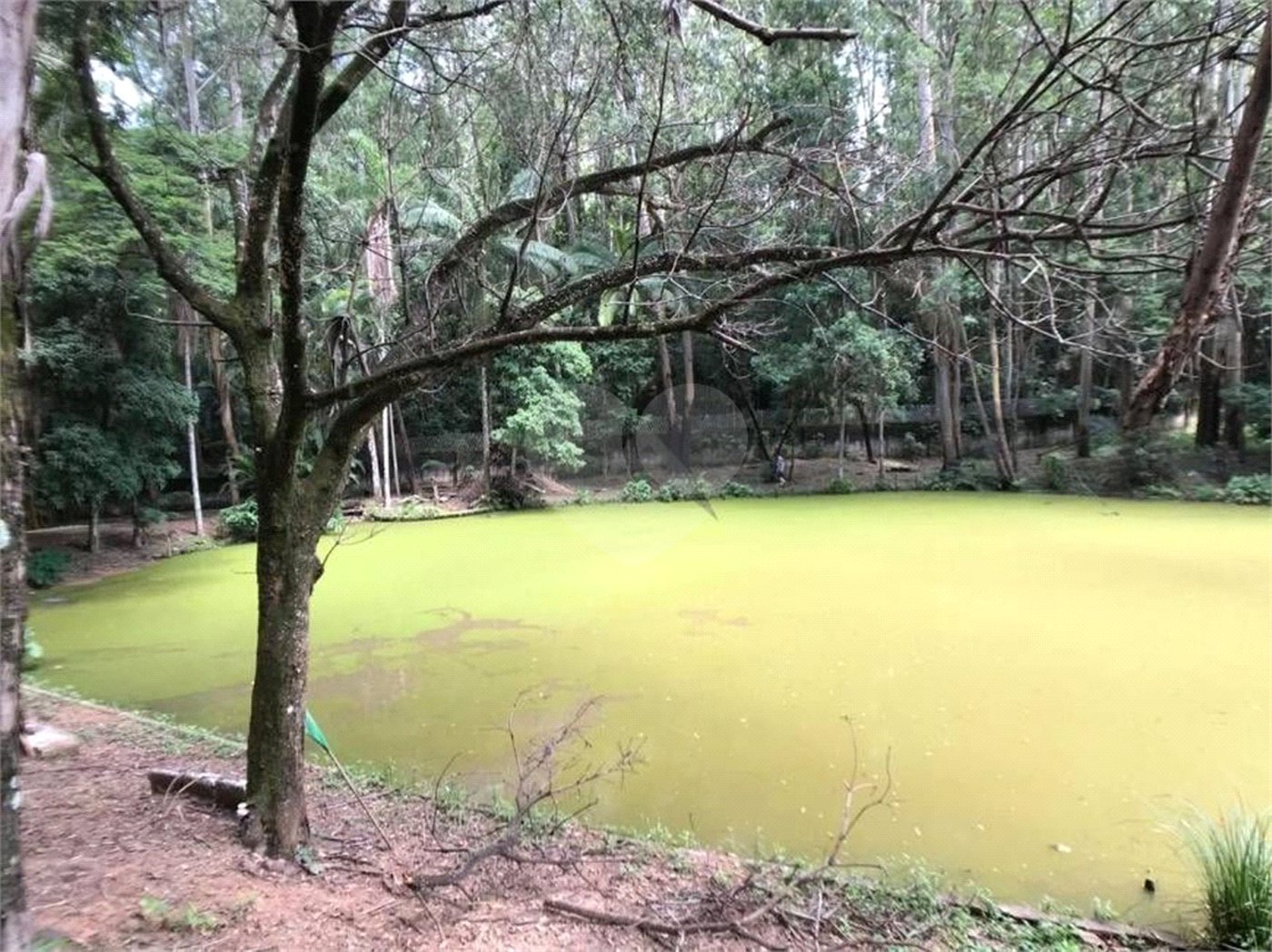 Terreno à venda em Vista Alegre, Vinhedo, SP