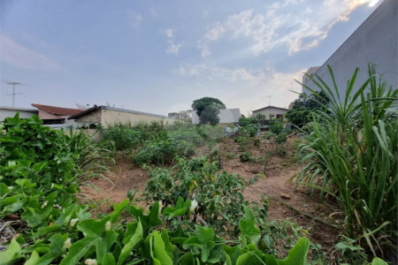 Terreno para alugar em Nova Vinhedo, Vinhedo, SP