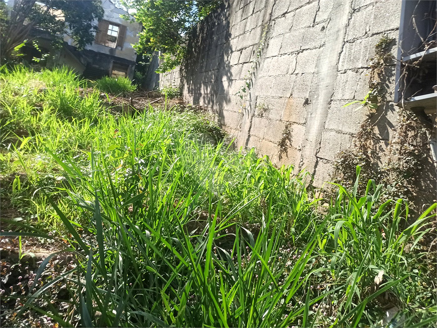 Terreno à venda em Vila Junqueira, Atibaia, SP