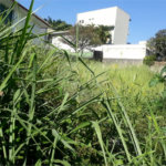 Terreno à venda em Jardim São Bento, São Paulo, SP