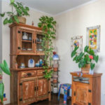 Apartamento à venda com 3 quartos em Água Fria, São Paulo, SP
